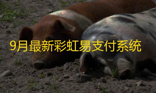 苹果辅助9月最新彩虹易支付系统php源码开心版